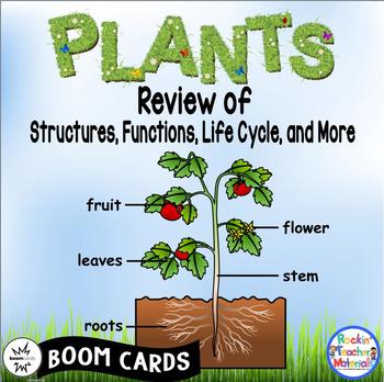 Plants BOOM Cards-A Review of Structures-Features-Life Cycles
